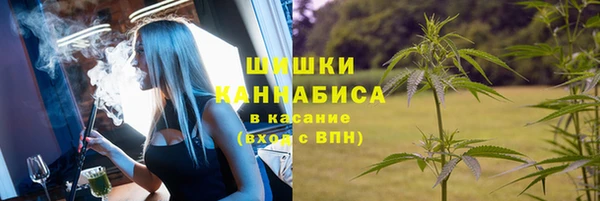 ПСИЛОЦИБИНОВЫЕ ГРИБЫ Балахна