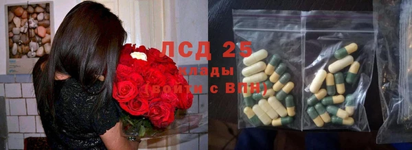 ПСИЛОЦИБИНОВЫЕ ГРИБЫ Балахна