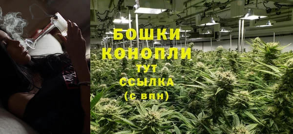 ПСИЛОЦИБИНОВЫЕ ГРИБЫ Балахна