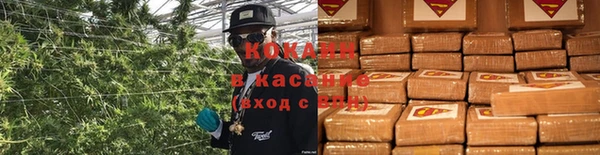 ПСИЛОЦИБИНОВЫЕ ГРИБЫ Балахна
