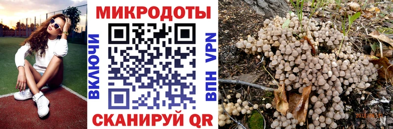 Купить закладки  Удомля  Псилоцибиновые грибы мухоморы 